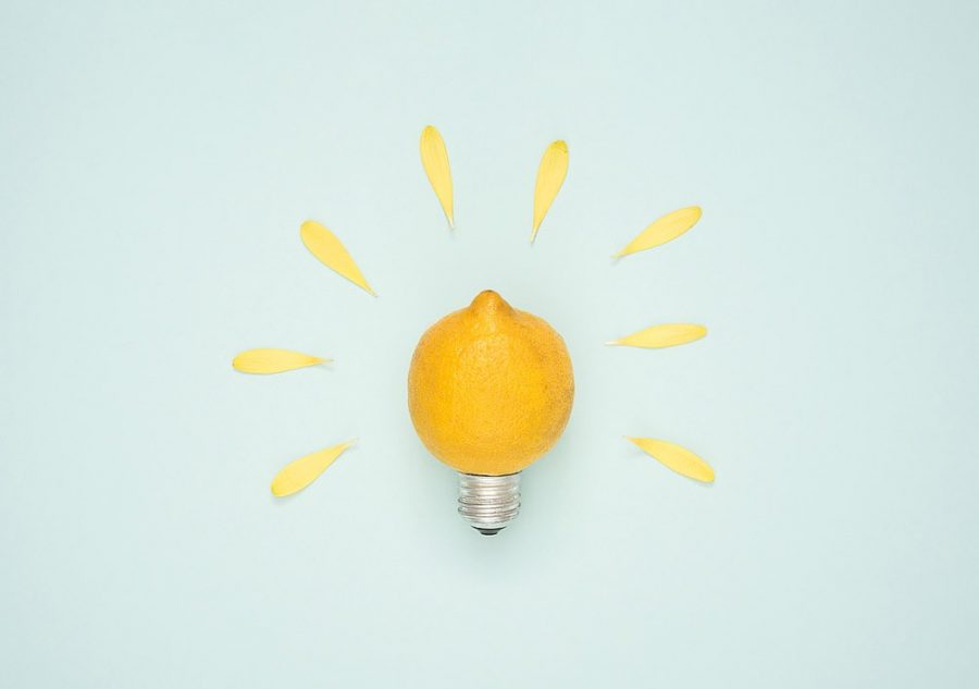 Commodo Fusce Dapibus